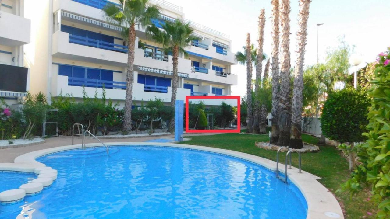 Апартаменти Coral House - La Calma - Playa Flamenca - Big Terrace & 4 Swimming Pools. Екстер'єр фото